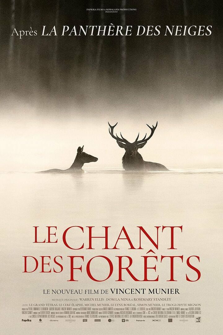 LE CHANT DES FORÊTS