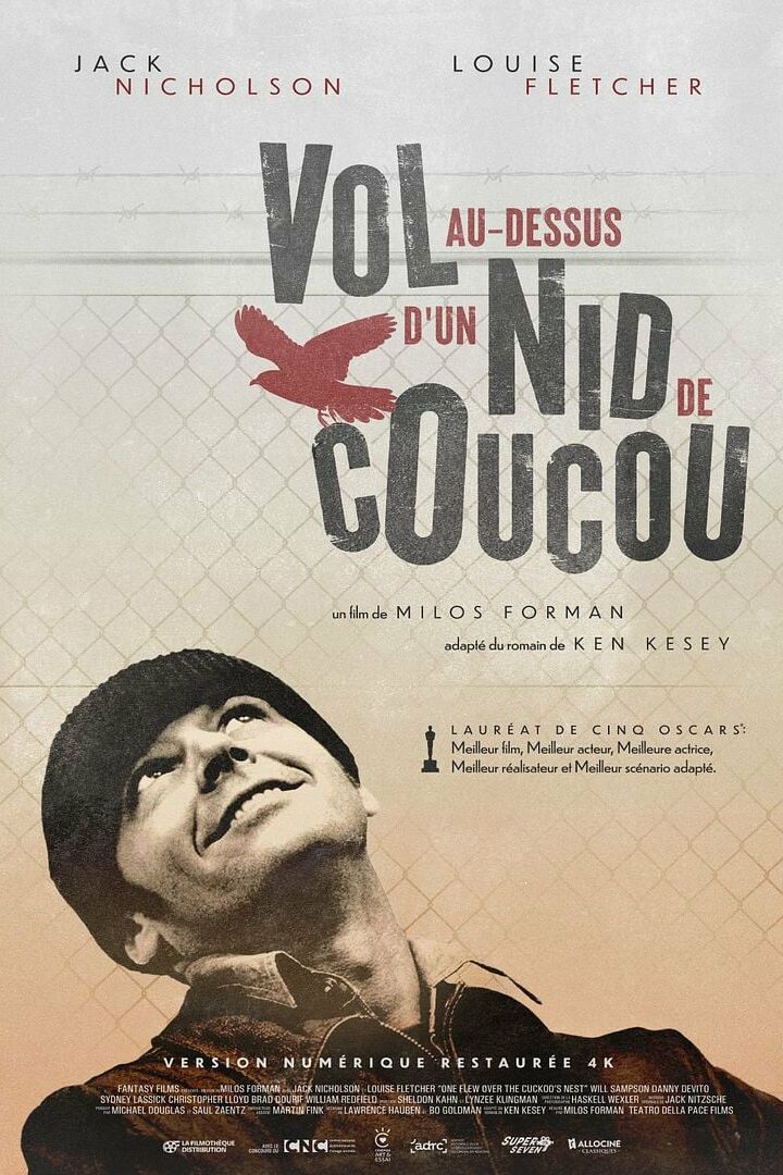 VOL AU-DESSUS D'UN NID DE COUCOU