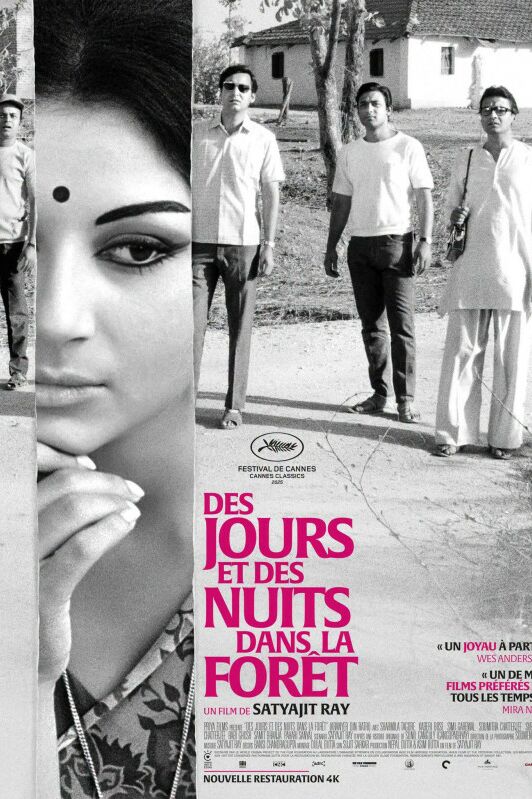 DES JOURS ET DES NUITS DANS LA FORET