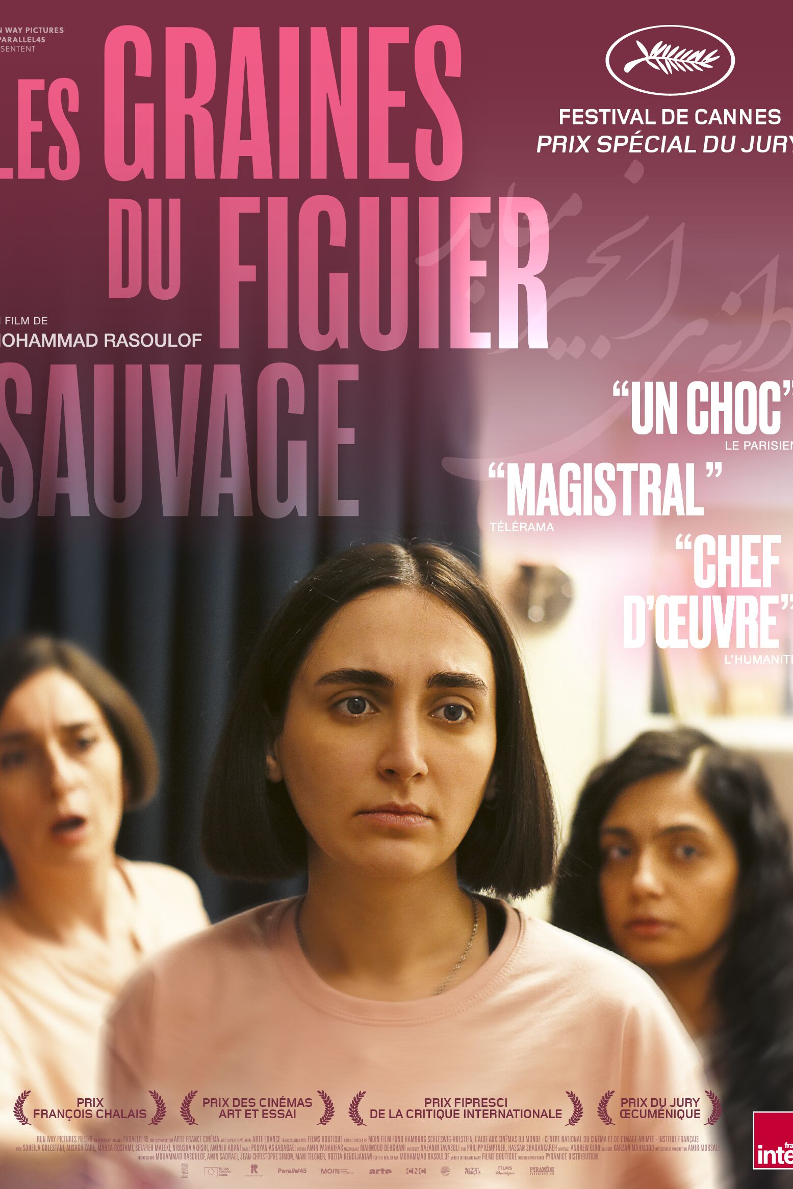 LES GRAINES DU FIGUIER SAUVAGE