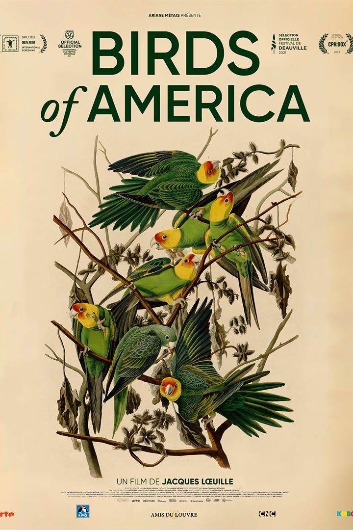 BIRDS OF AMERICA
