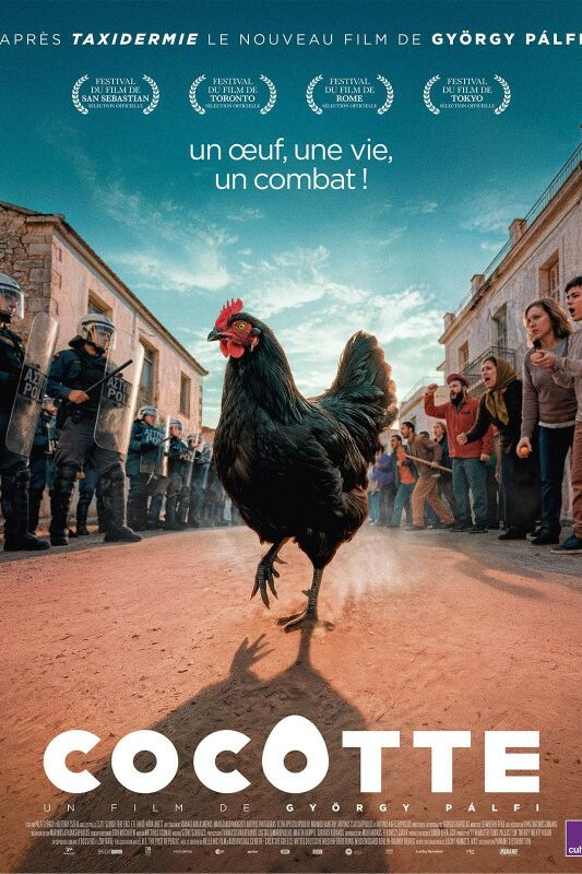 Cocotte