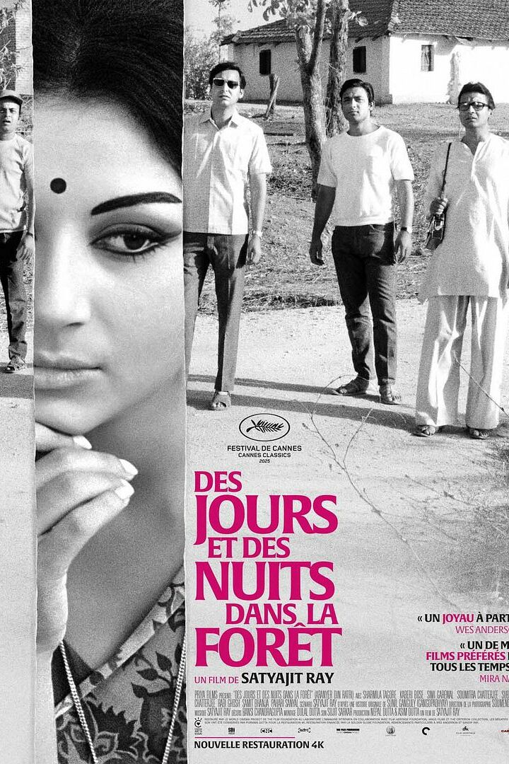 DES JOURS ET DES NUITS DANS LA FORÊT